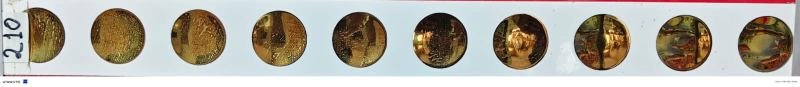 2.5X24 GOLDEN BORDER DI 210  G