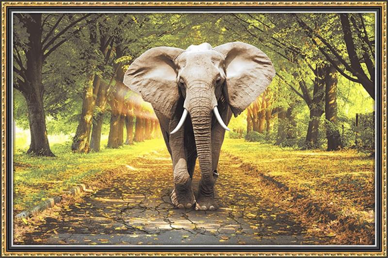 G 1561 –  tiles